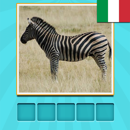 Animali Quiz indovina e impara