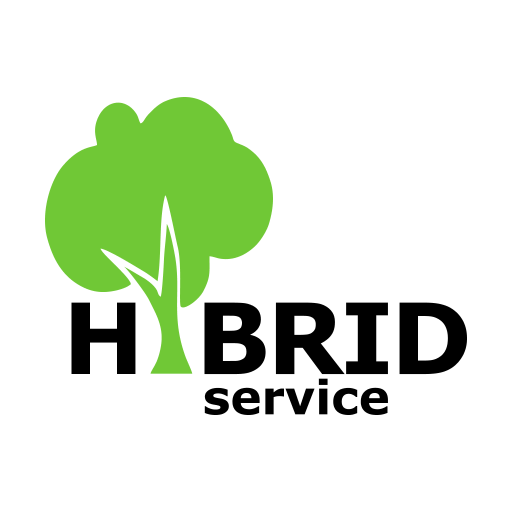 Hybrid Service