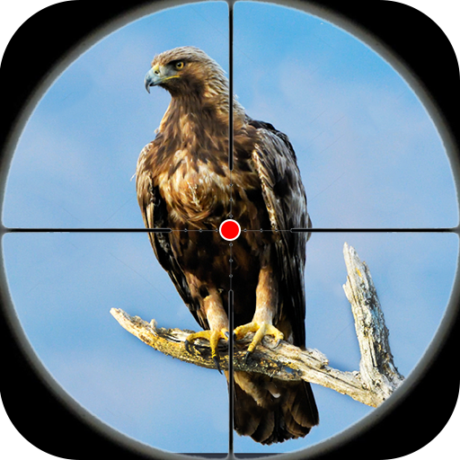 jeux de chasse oiseaux chasse