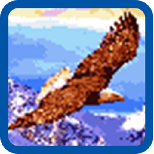 Eagle Pixel Number