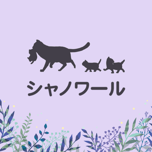 【chat-noir】カイロ＆エステ