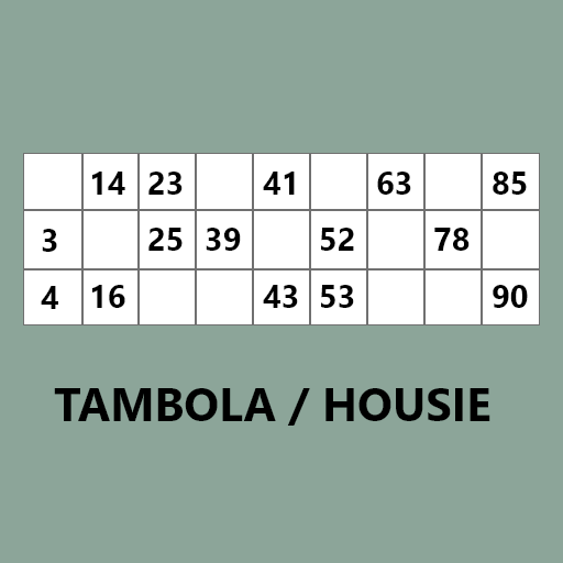 Tambola Housie Coin Picker