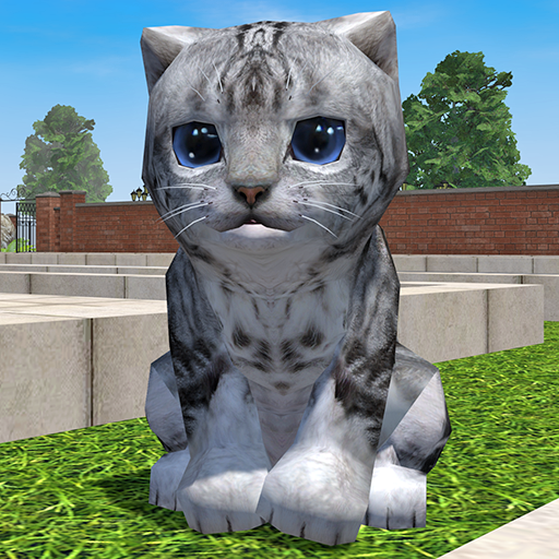 Cute Pocket Cat 3D - Bahagi 2