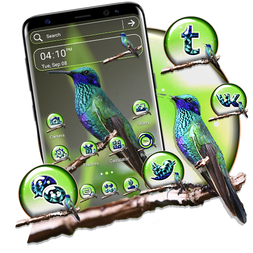 Violetear Hummingbird Theme