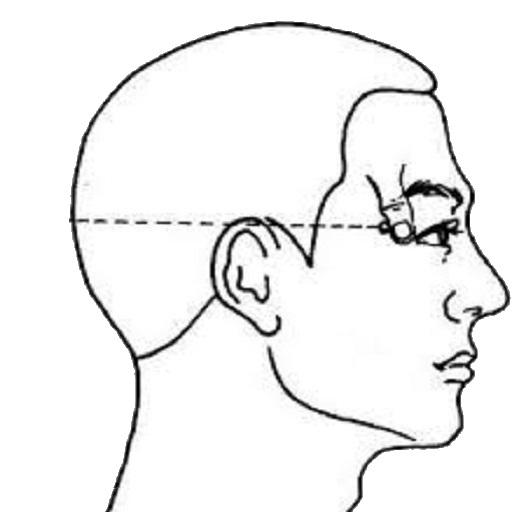 TCM Acupuncture Index/Acupoint