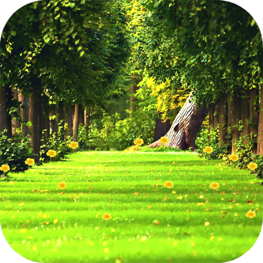 Green Nature Wallpaper